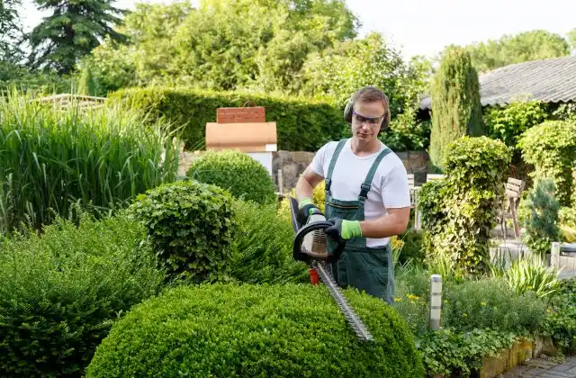 landscaping services Cornell